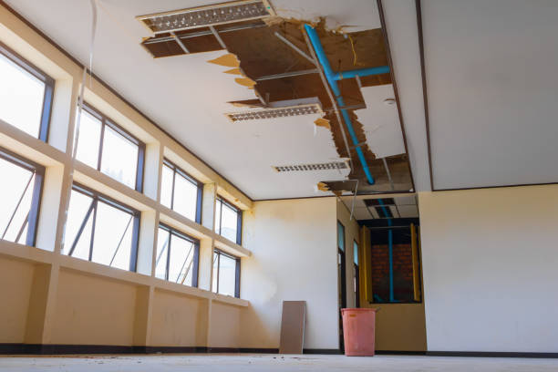 Best Flood restoration services  in Discovery Bay, CA