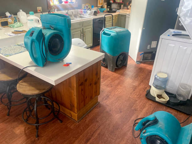 Best Ceiling water damage repair  in Discovery Bay, CA