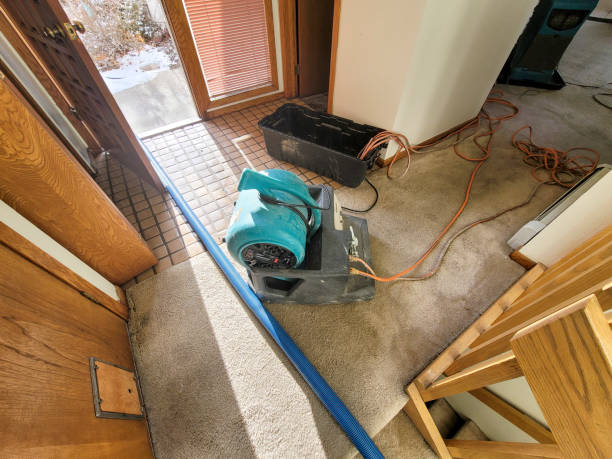 Best Water damage cleanup near me  in Discovery Bay, CA