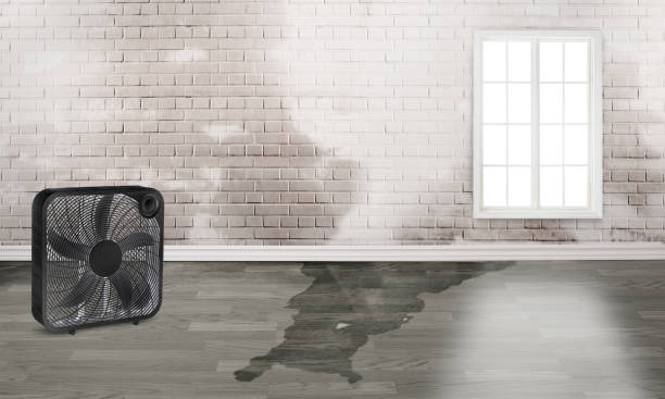 Best Water damage restoration near me  in Discovery Bay, CA