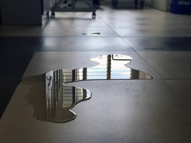 Best Carpet water damage restoration  in Discovery Bay, CA