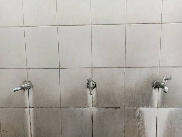  Discovery Bay, CA Water damage restoration Pros