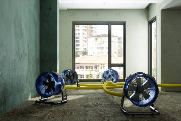 Best Commercial water damage restoration  in Discovery Bay, CA